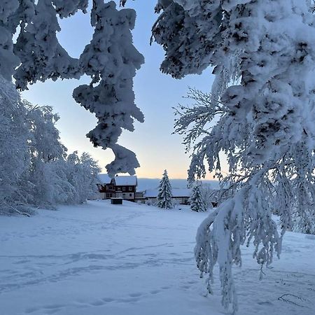 Gemuetliche Ferienwohnung Harz Braunlage Hohegeiss Екстер'єр фото