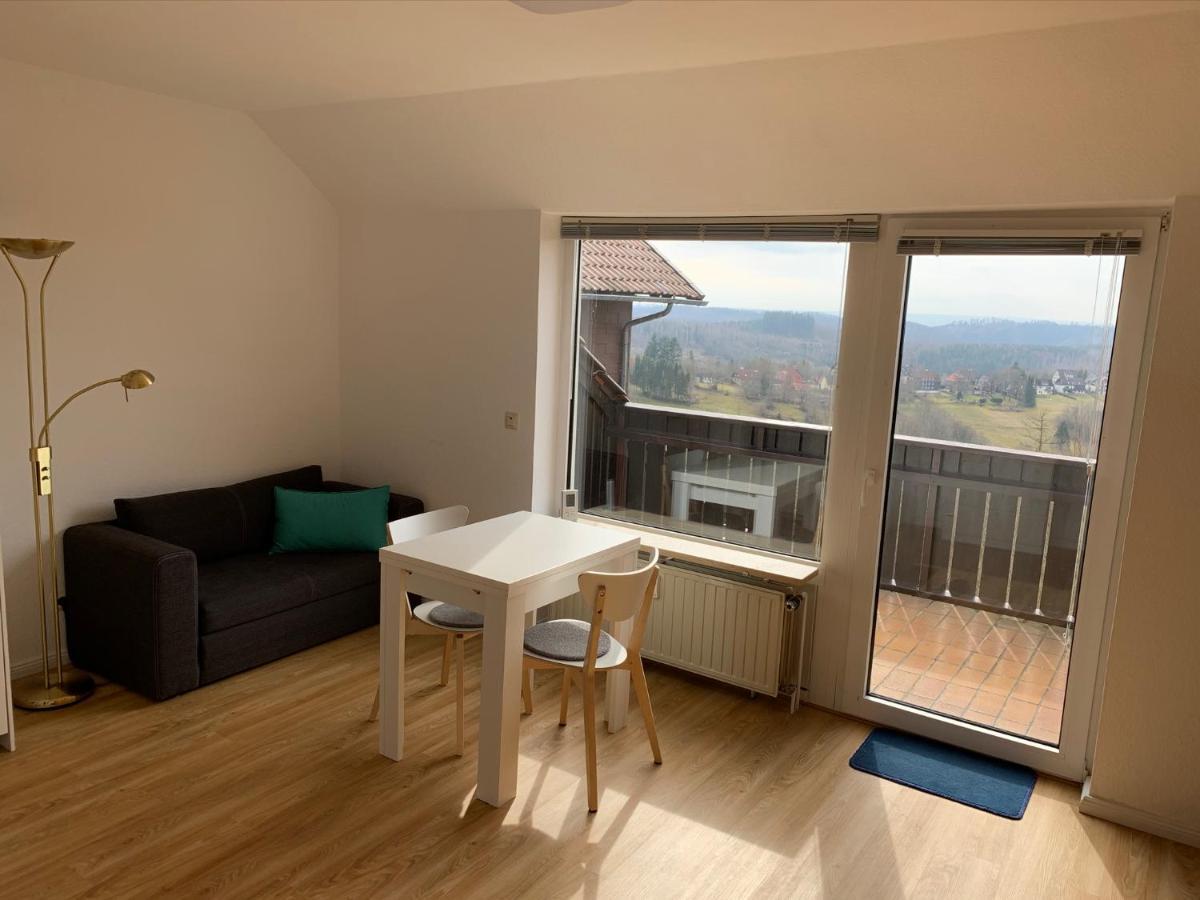 Gemuetliche Ferienwohnung Harz Braunlage Hohegeiss Екстер'єр фото