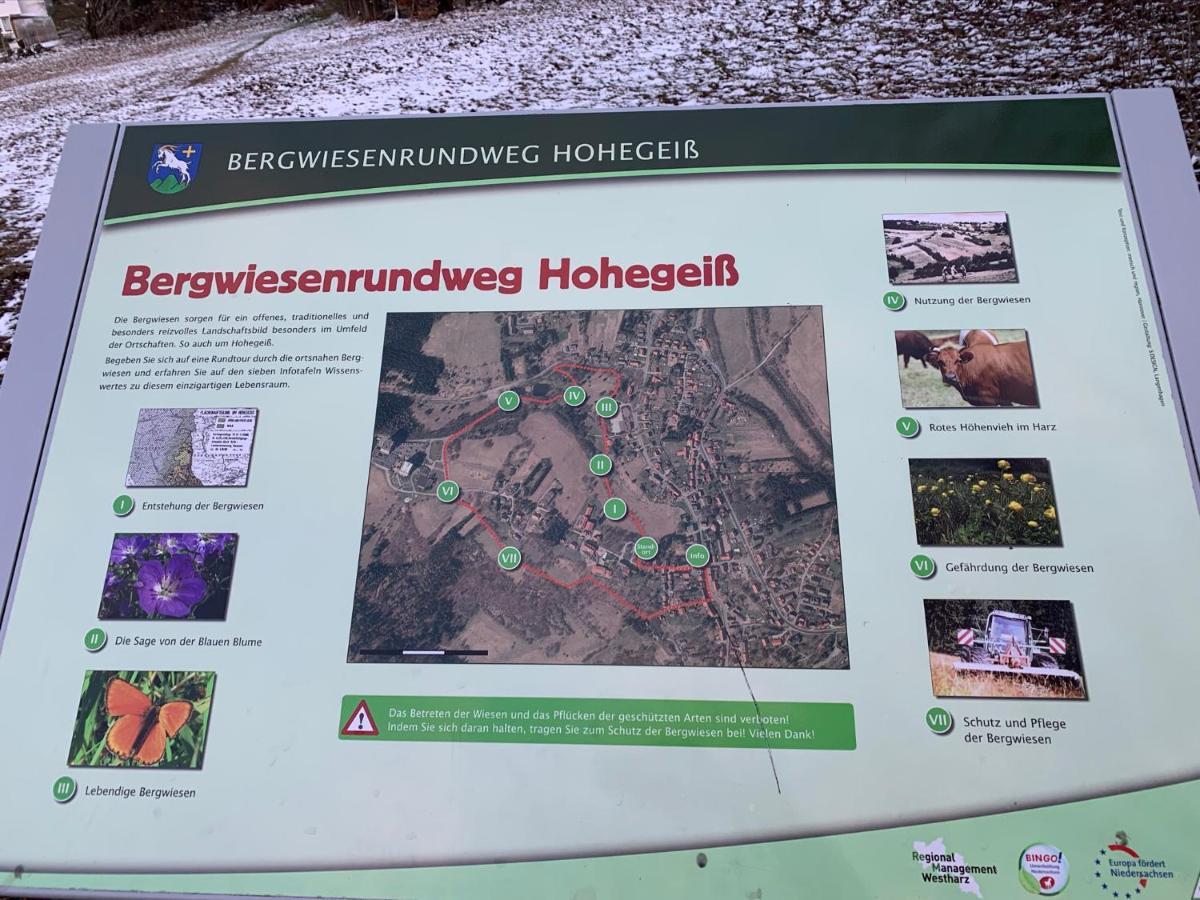 Gemuetliche Ferienwohnung Harz Braunlage Hohegeiss Екстер'єр фото