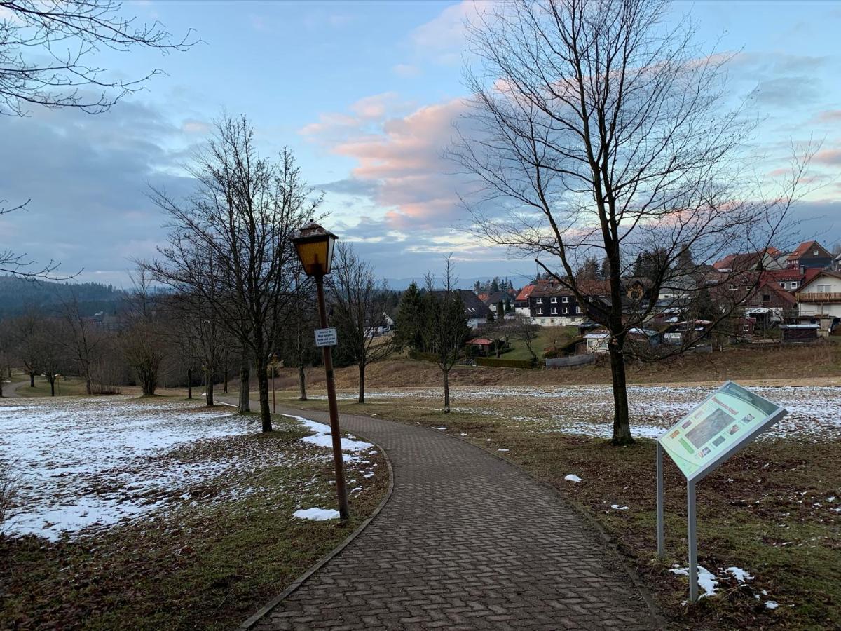 Gemuetliche Ferienwohnung Harz Braunlage Hohegeiss Екстер'єр фото