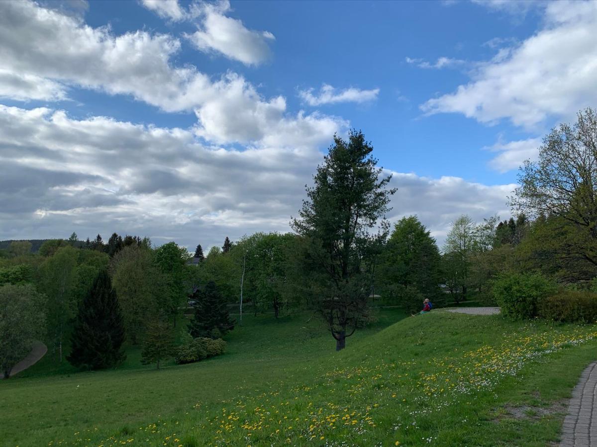 Gemuetliche Ferienwohnung Harz Braunlage Hohegeiss Екстер'єр фото