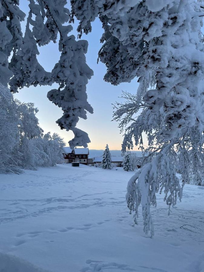 Gemuetliche Ferienwohnung Harz Braunlage Hohegeiss Екстер'єр фото
